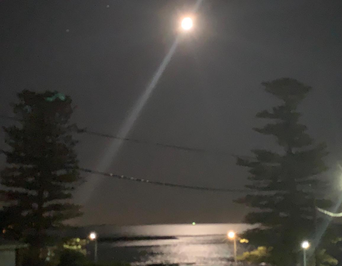 Pelicans Rest Shellharbour Esterno foto